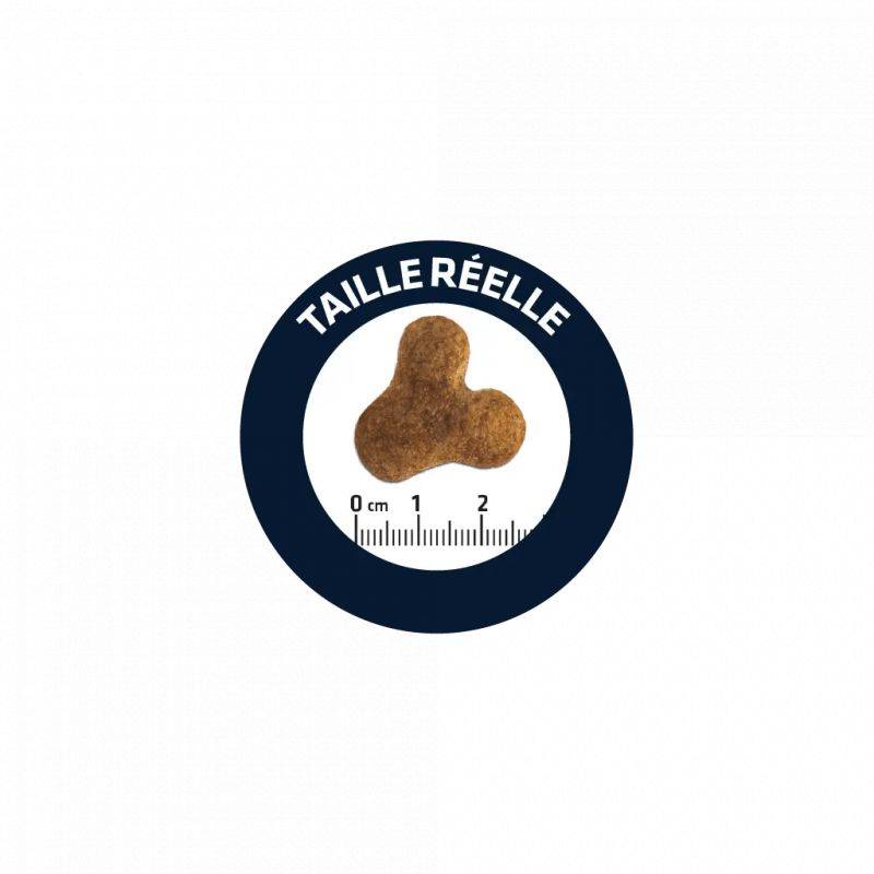 CROQUETTES CHIEN BULLDOG FRANCAIS - ADVANCE 7,5 kg - Imagen 2