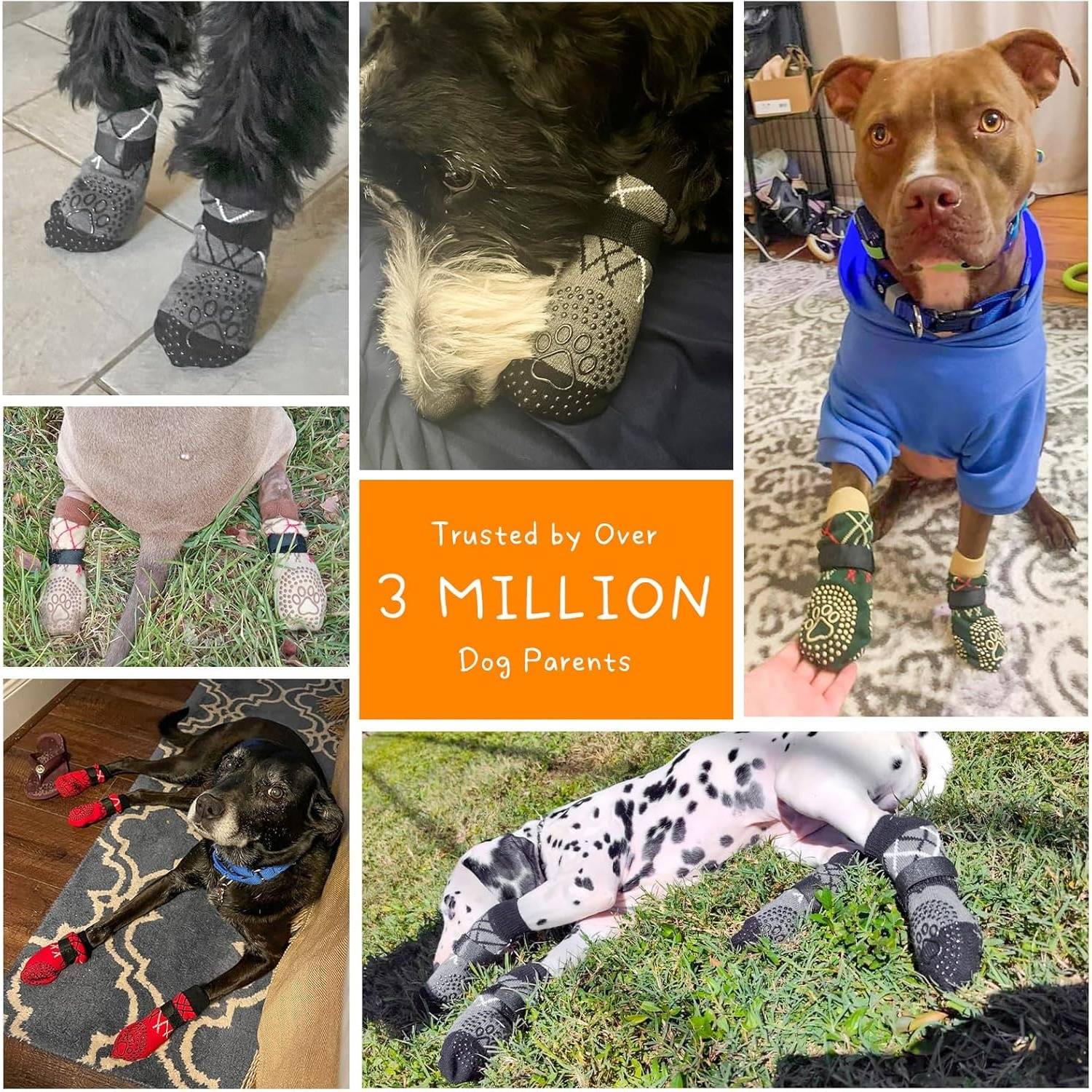Protègent Pattes Chien Sols Chauds/Froids M DtopbuyAge - Jardiland