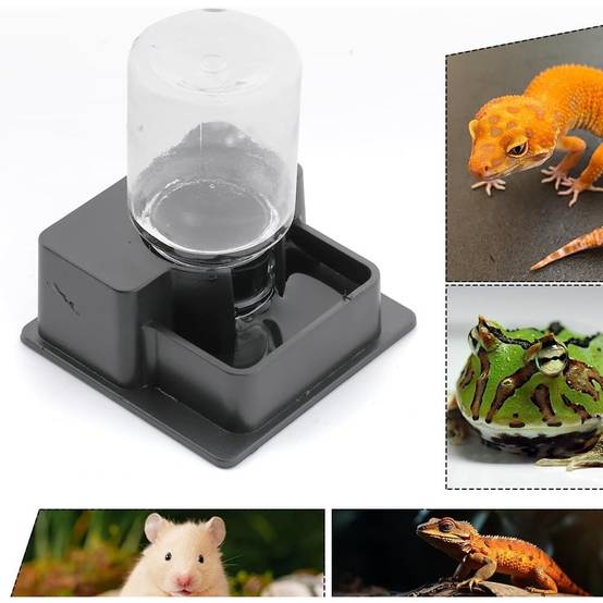 Fontaine À Eau Pour Reptiles PP Qualité, Distributeur Automatique Adapté Geckos/Iguanes - Lytech - Image 4
