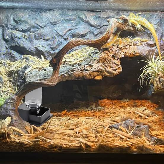 Fontaine À Eau Pour Reptiles PP Qualité, Distributeur Automatique Adapté Geckos/Iguanes - Lytech - Image 3