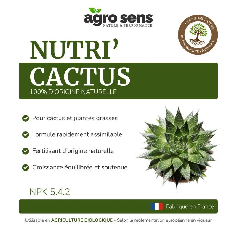 Nutri Cactus - Engrais liquide pour cactus et plantes grasses - 1 litre (500 litres de préparation) - Image 4