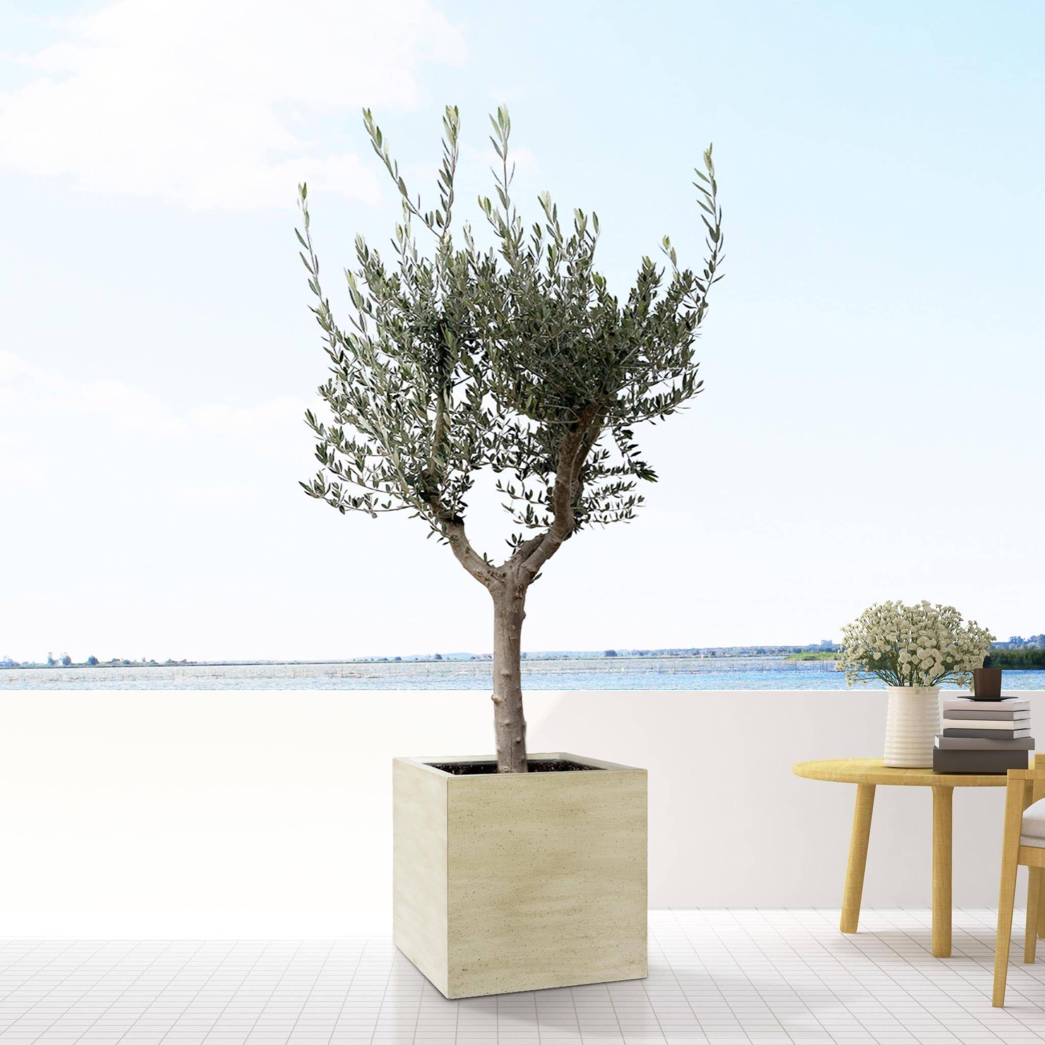 Pot Block Beige 40 cm- La Green Touch - Imagen 2