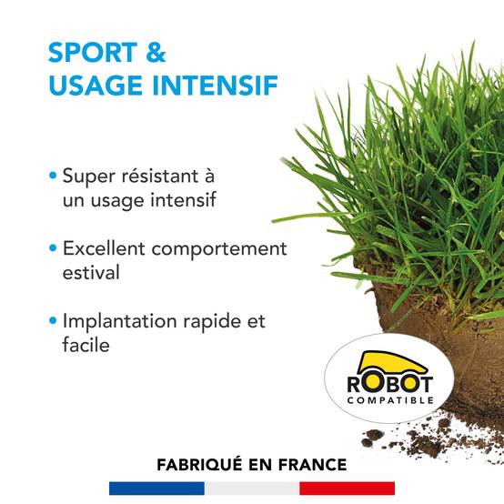 Gazon Sport & Usage intensif - Super Résistant - Excellent Comportement Estival - Implantation Rapide et Facile - 3KG - BARENBRUG - Image 2