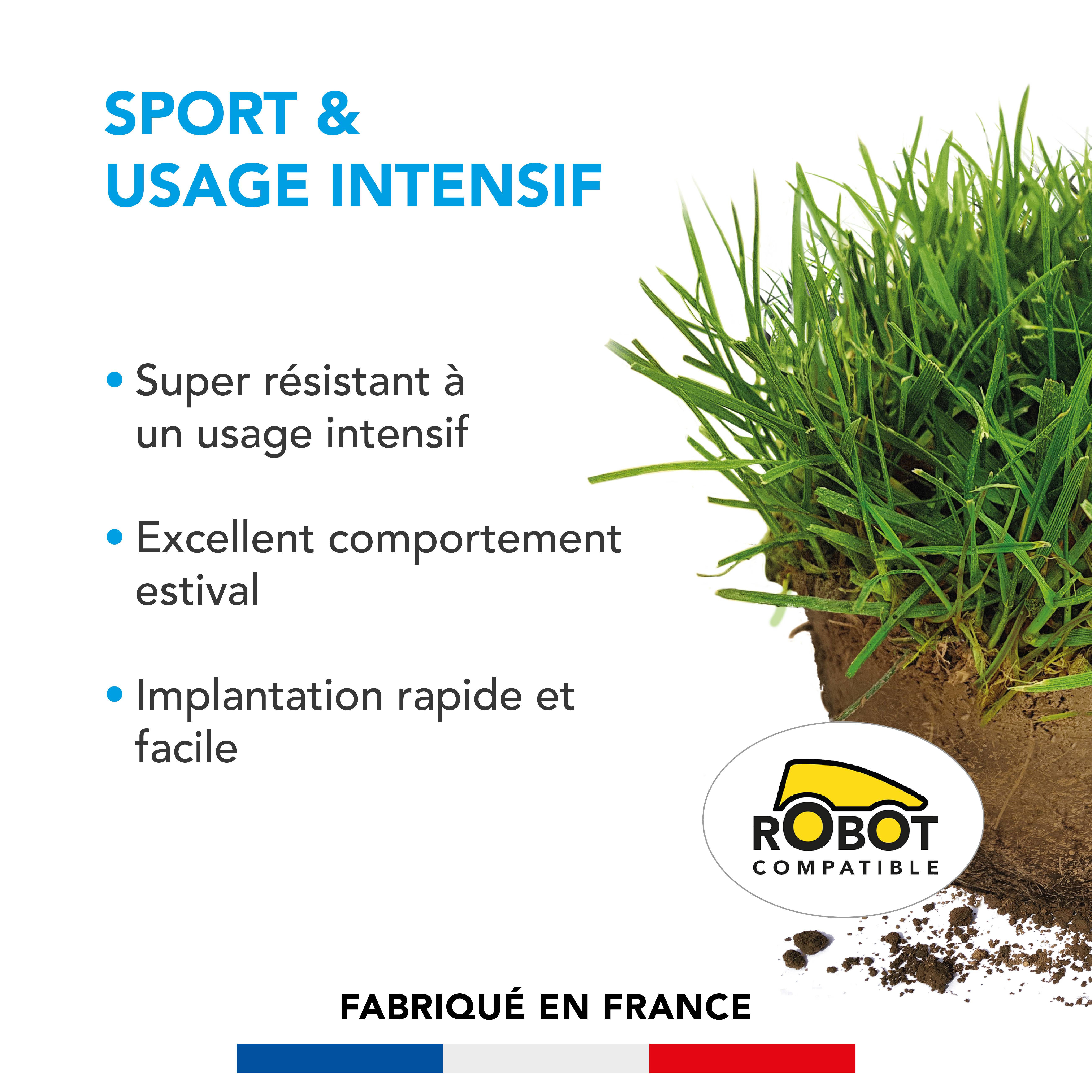 Gazon Sport & Usage intensif - Super Résistant - Excellent Comportement Estival - Implantation Rapide et Facile - 3KG - BARENBRUG - Image 2