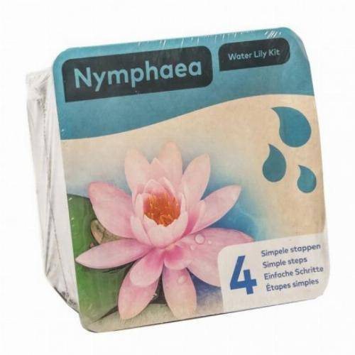 Kit Nénuphar - plante aquatique pour bassin - Jaune - Image 1