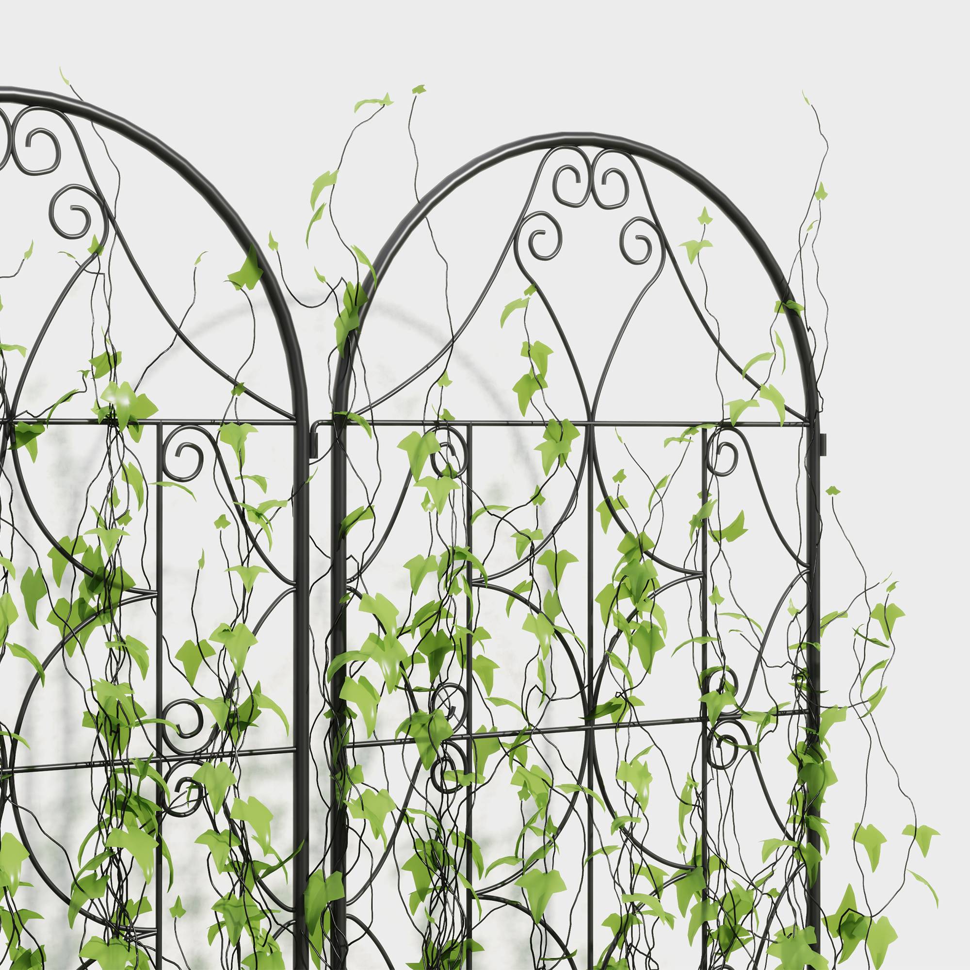 Treillis pour les plantes grimpantes 50x120cm,  ou légumes d'escalade, Noir - Image 4