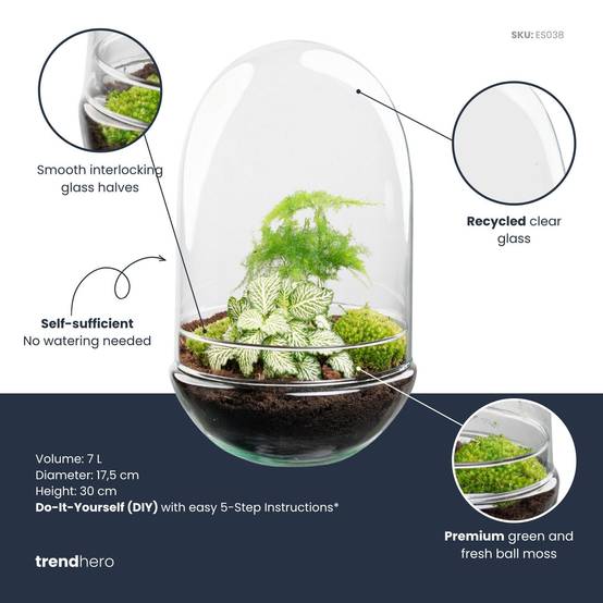 Kit Terrarium Diy - D30 H30cm - Image 2