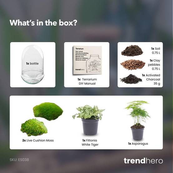 Kit Terrarium Diy - D30 H30cm - Image 3