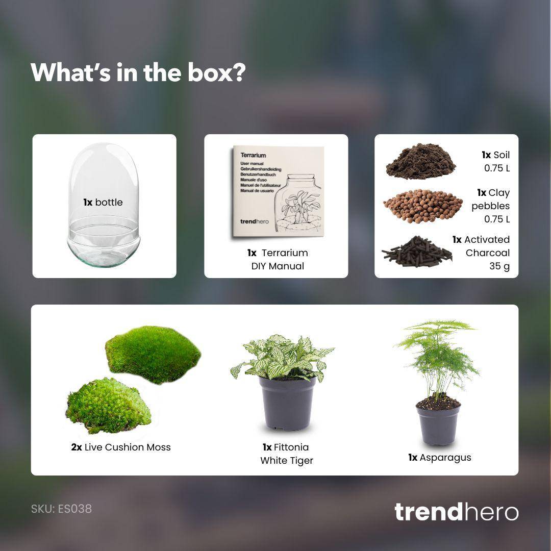 Kit Terrarium Diy - D30 H30cm - Image 3