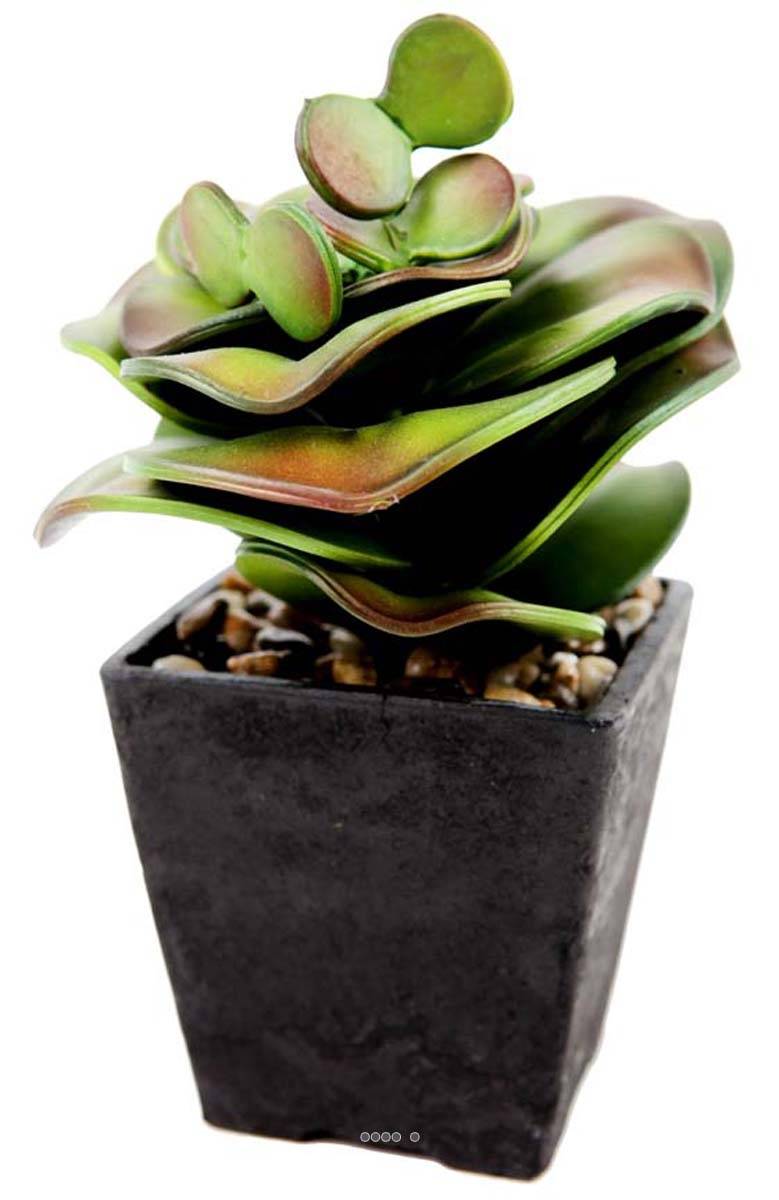 Artificielles - Cactus cactée agave en pot chocolat et finition gravier H 24 cm