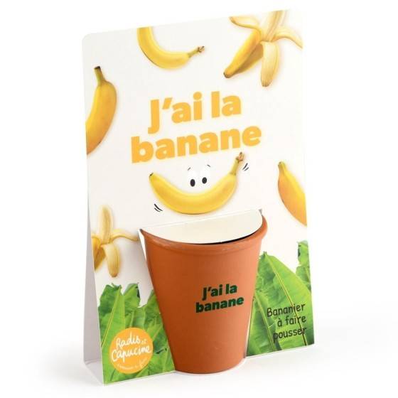 Radis et Capucine - Radis et Capucine - Carte message - J'ai la banane - Bananier - Image 1