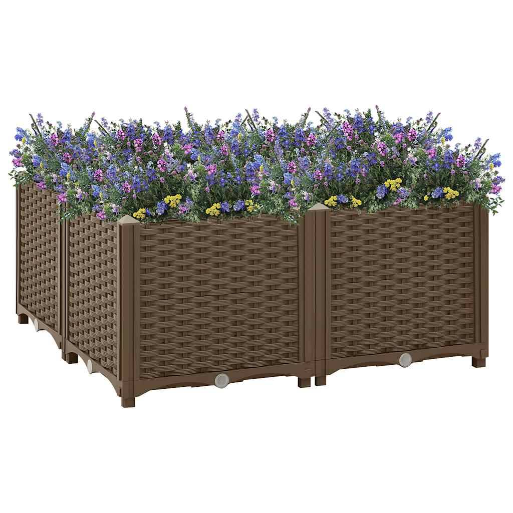 Lit surélevé Polypropylène marron 80 x 80 x 38 cm - PANGIVO - Image 1