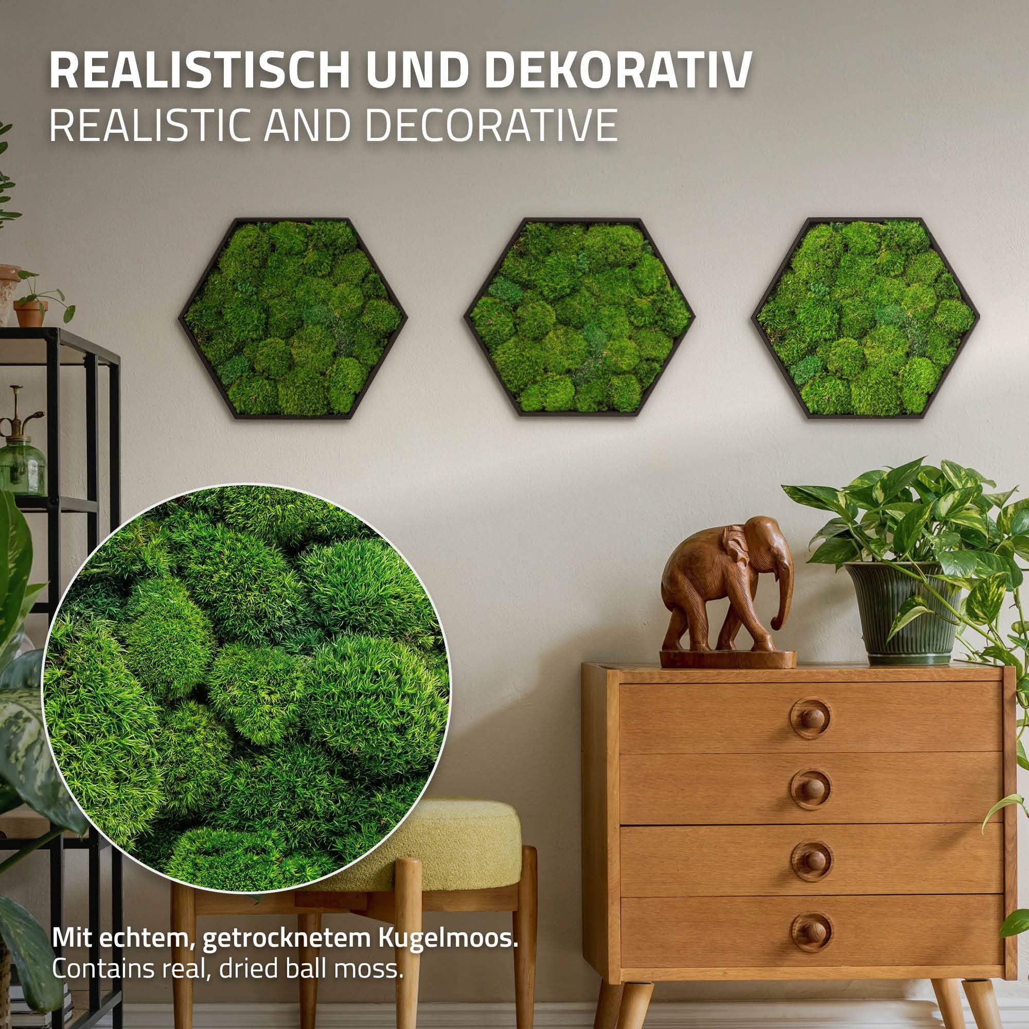 Ecd-Germany - Tableau en mousse boule stabilisée, hexagonal, 38 x 34 cm, vert, décoration murale végétale d'intérieur, cadre en bois, sans arrosage ni entretien - Image 3
