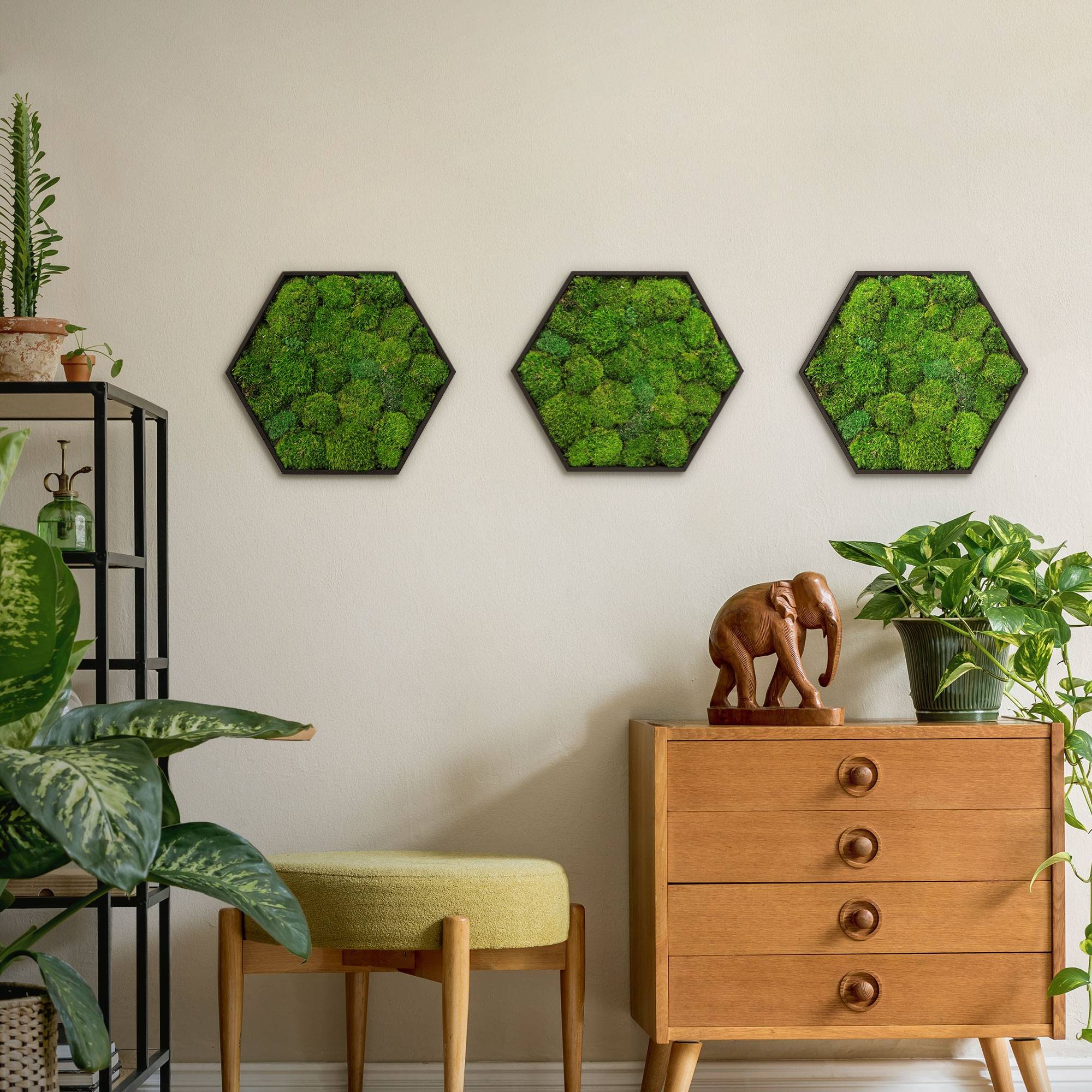 Ecd-Germany - Tableau en mousse boule stabilisée, hexagonal, 38 x 34 cm, vert, décoration murale végétale d'intérieur, cadre en bois, sans arrosage ni entretien - Image 9