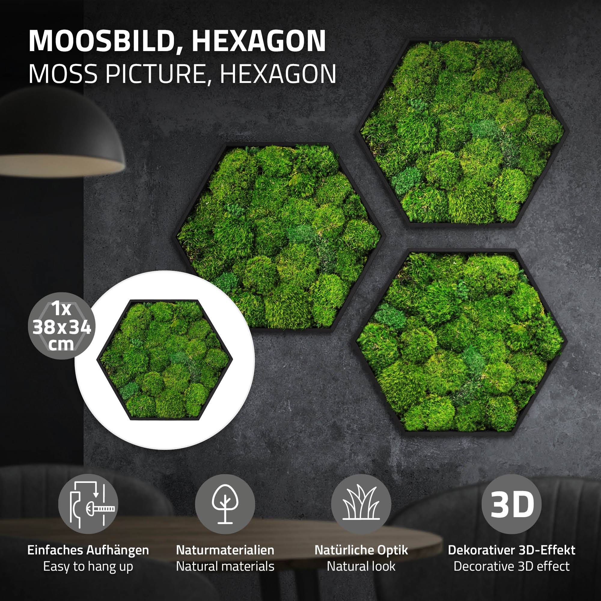 Ecd-Germany - Tableau en mousse boule stabilisée, hexagonal, 38 x 34 cm, vert, décoration murale végétale d'intérieur, cadre en bois, sans arrosage ni entretien - Image 2