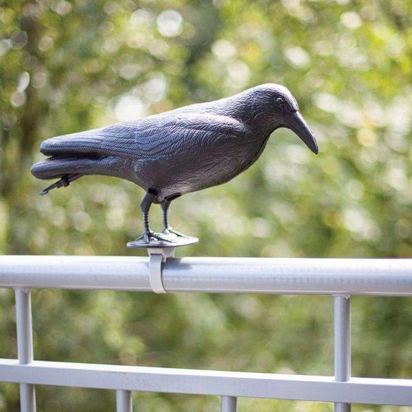 Esschert Design - Epouvantail corbeau pour éloigner les pigeons (Lot de 3) Esschert Design - Image 5