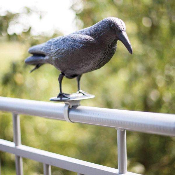 Esschert Design - Epouvantail corbeau pour éloigner les pigeons (Lot de 3) Esschert Design - Image 4
