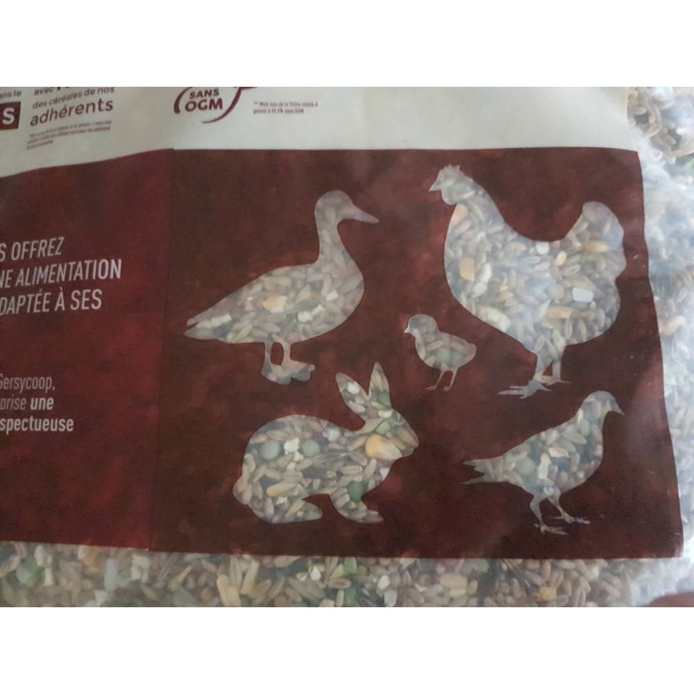 Gasco - Gasco - Mezcla de semillas para gallinas ponedoras 20 kg corral - Imagen 3