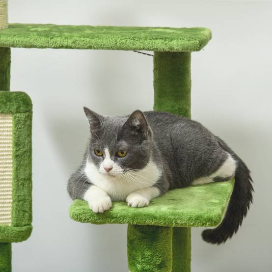 Arbre à chat multiniveaux bois peluche avec hamac grattoir sisal 49x49x142cm vert - ComfortXL Outdoor Living - Image 10