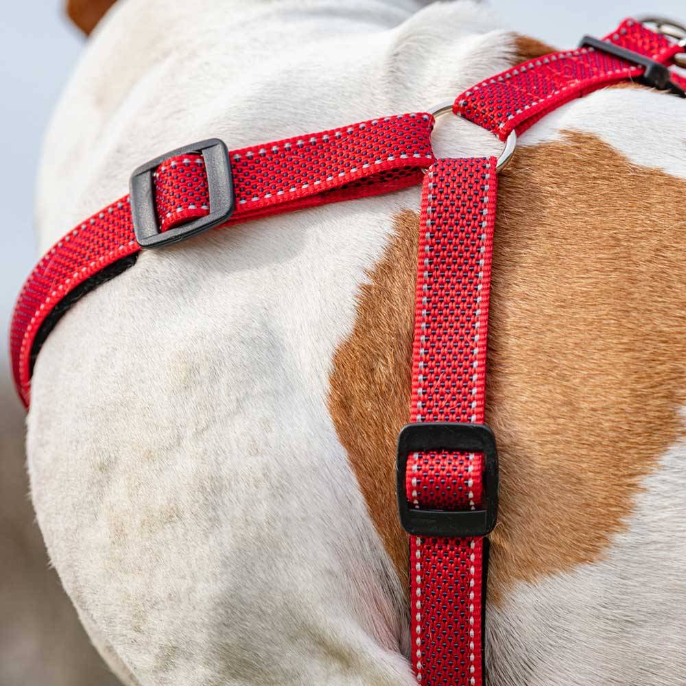 Ferplast - Harnais pour Chien Grande Taille Réfléchissant DAYTONA DELUXE EXTRA LARGE, Rembourré, Rouge-Noir - Imagen 5