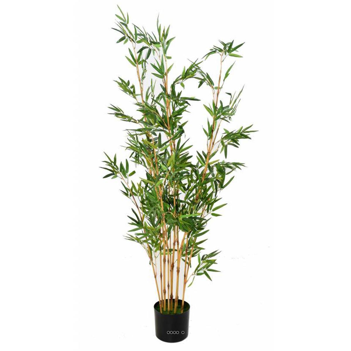 Artificielles - Bambou Artificiel finition mousse verte H 150 cm Vert - dimhaut: H 150 cm - couleur: Vert