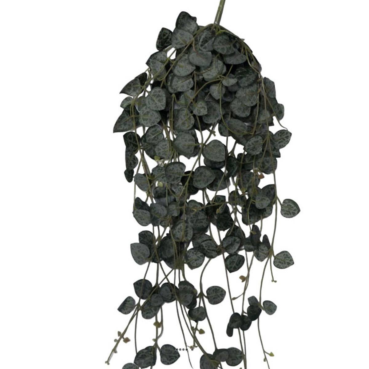 Artificielles - Chute de ceropegia artificiel, 258 feuilles H 70 cm - Imagen 3