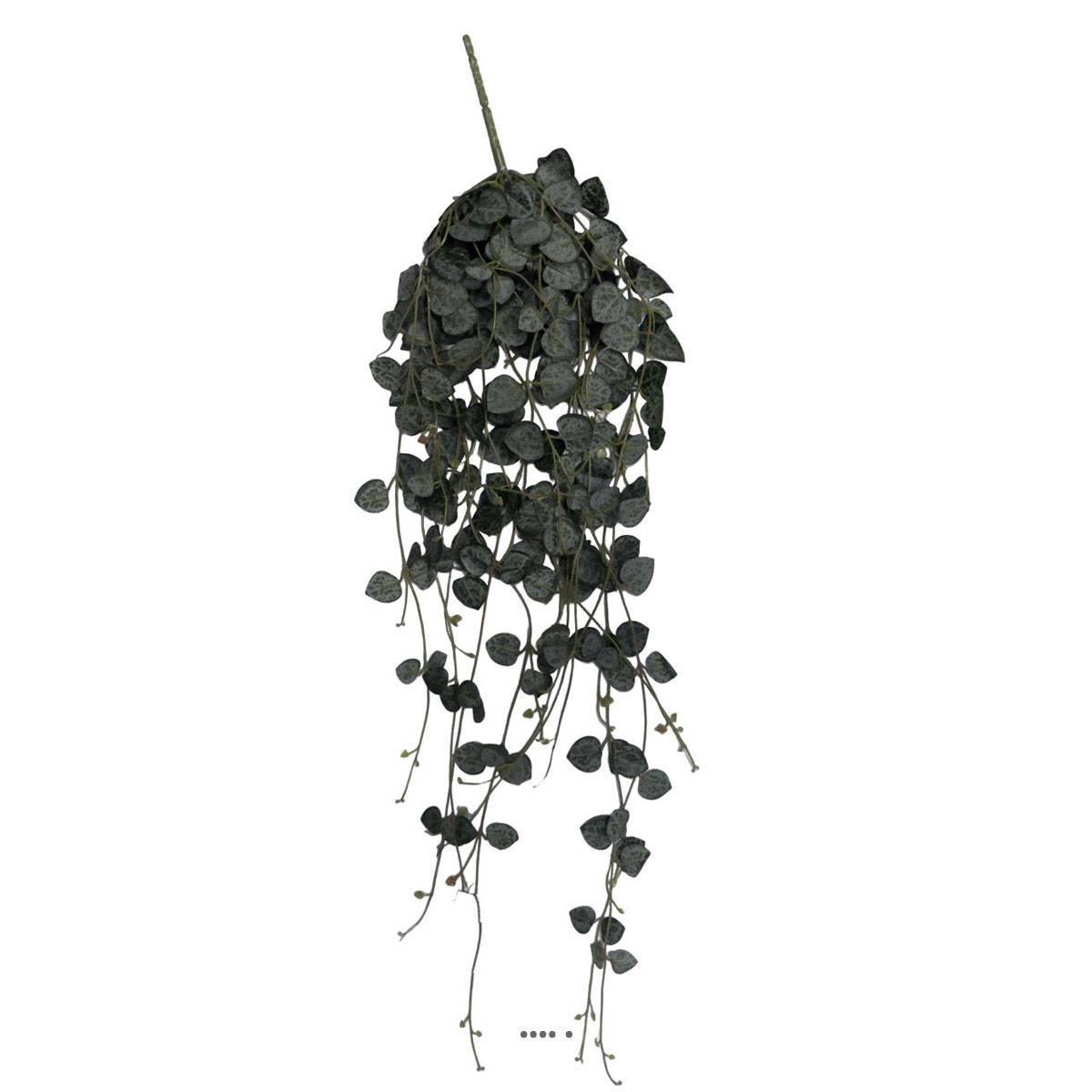 Artificielles - Chute de ceropegia artificiel, 258 feuilles H 70 cm - Imagen 2