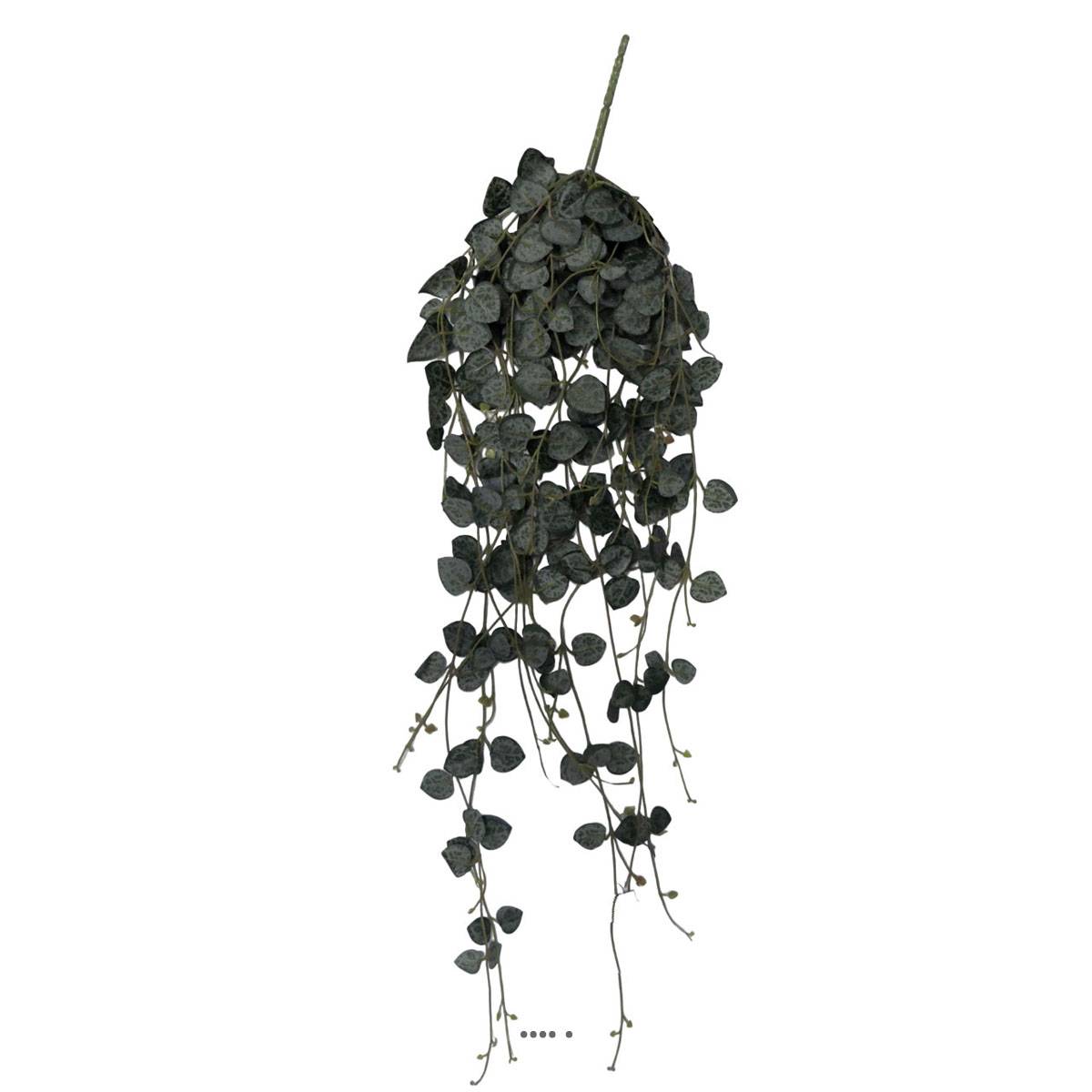 Artificielles - Chute de ceropegia artificiel, 258 feuilles H 70 cm - Imagen 1