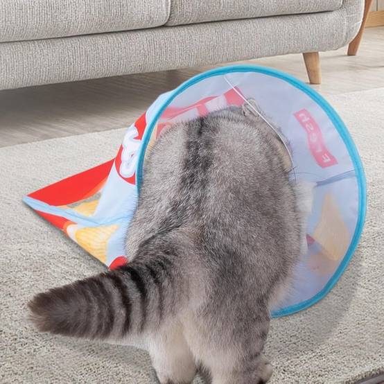 Tunnel pour chat- en forme de sac - Pliable avec boules en peluche - Stimulation interactive - Living123 - Image 6