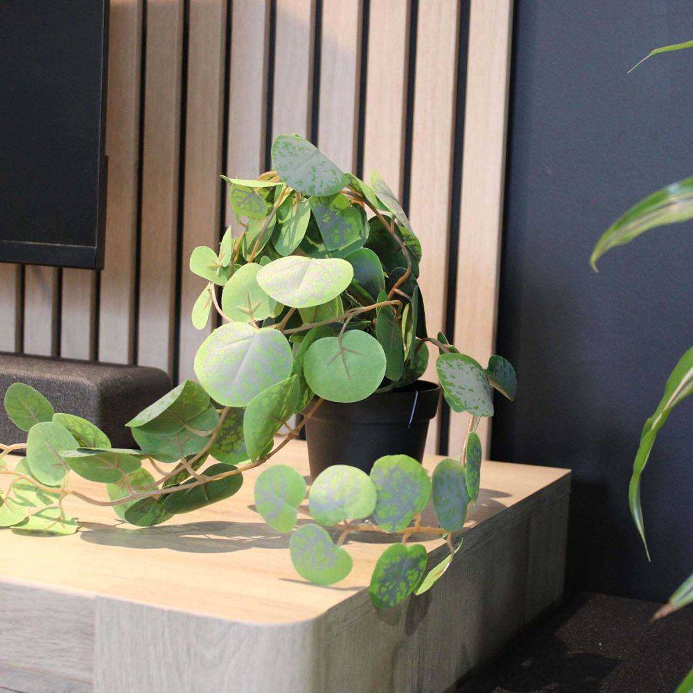 Ligne Deco - Eucalyptus retombant artificiel en pot 40 cm Ligne Deco - Imagen 4
