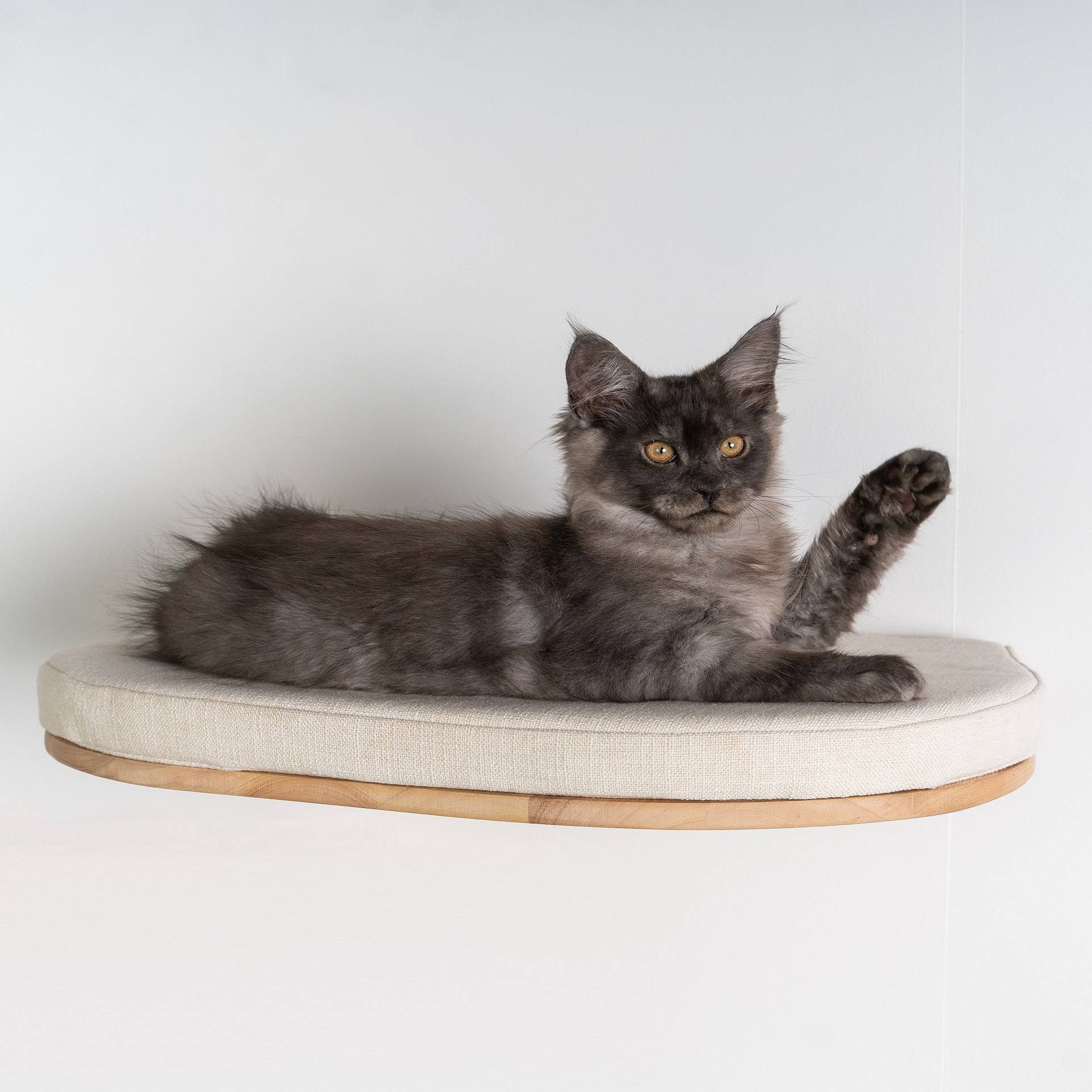 Rhr Concepts Bv - Mur d’escalade pour chat - Luxueux lit mural pour chat (beige) - RHR Concepts BV - Imagen 2