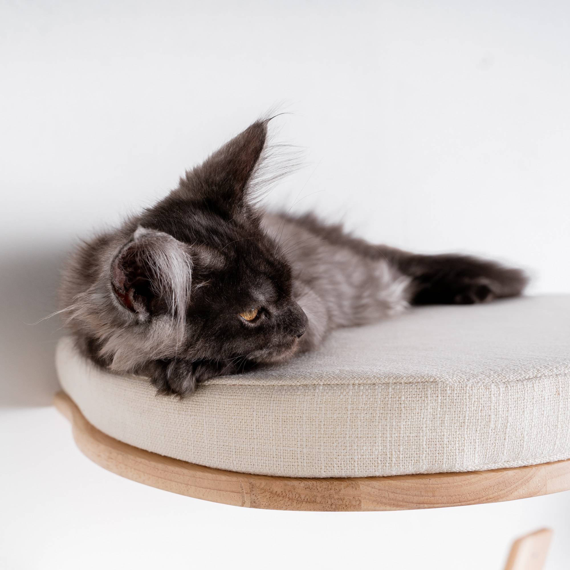 Rhr Concepts Bv - Mur d’escalade pour chat - Luxueux lit mural pour chat (beige) - RHR Concepts BV - Imagen 3