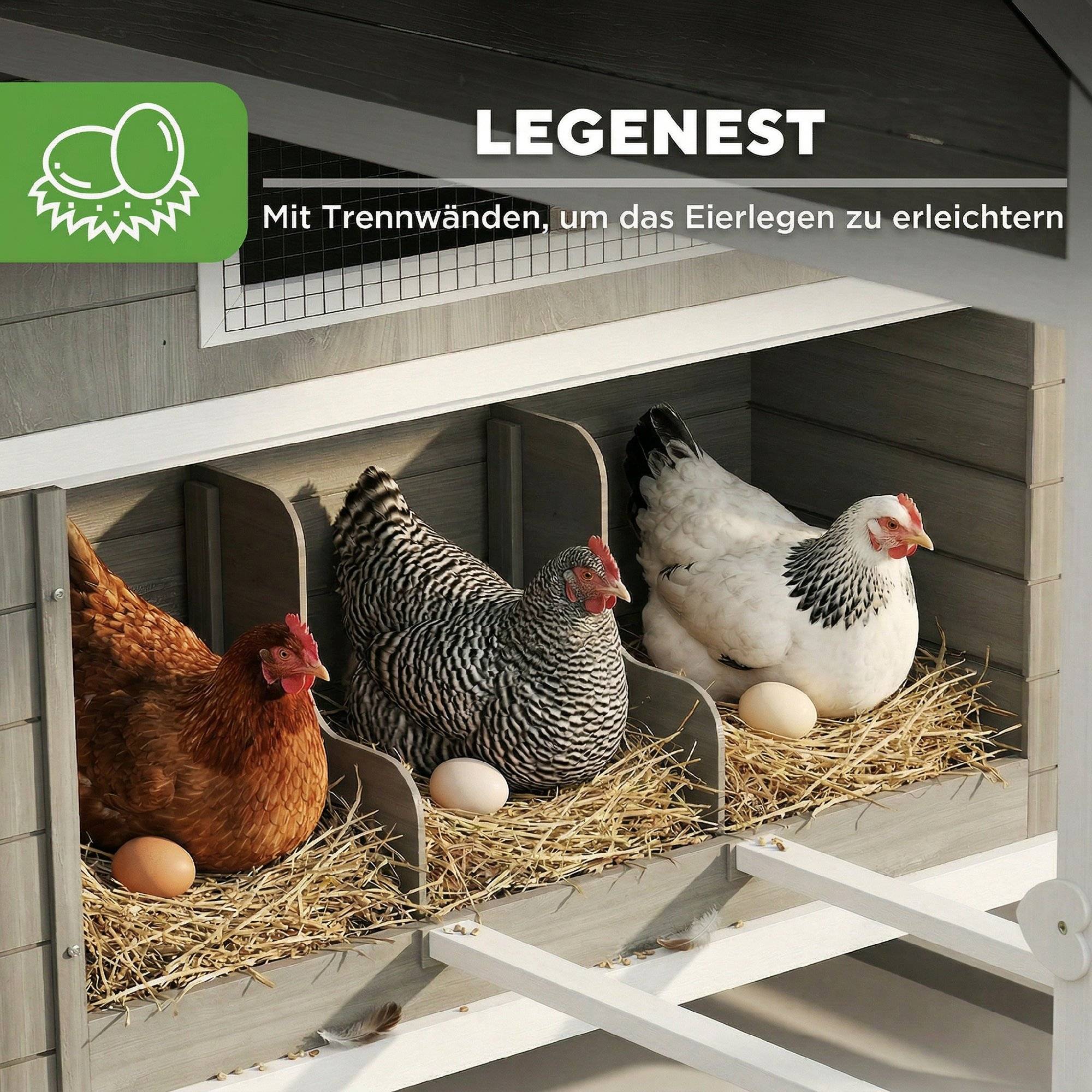 Poulailler en bois avec enclos extérieur, pondoir, toit amovible en asphalte, plateau pour 4 à 6 poules, 347 x 160 x 150 cm, gris foncé - Image 8