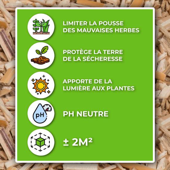 Sans Marque - Paillage horticole de Miscanthus pour le jardin et le potager - 10kg - Image 2