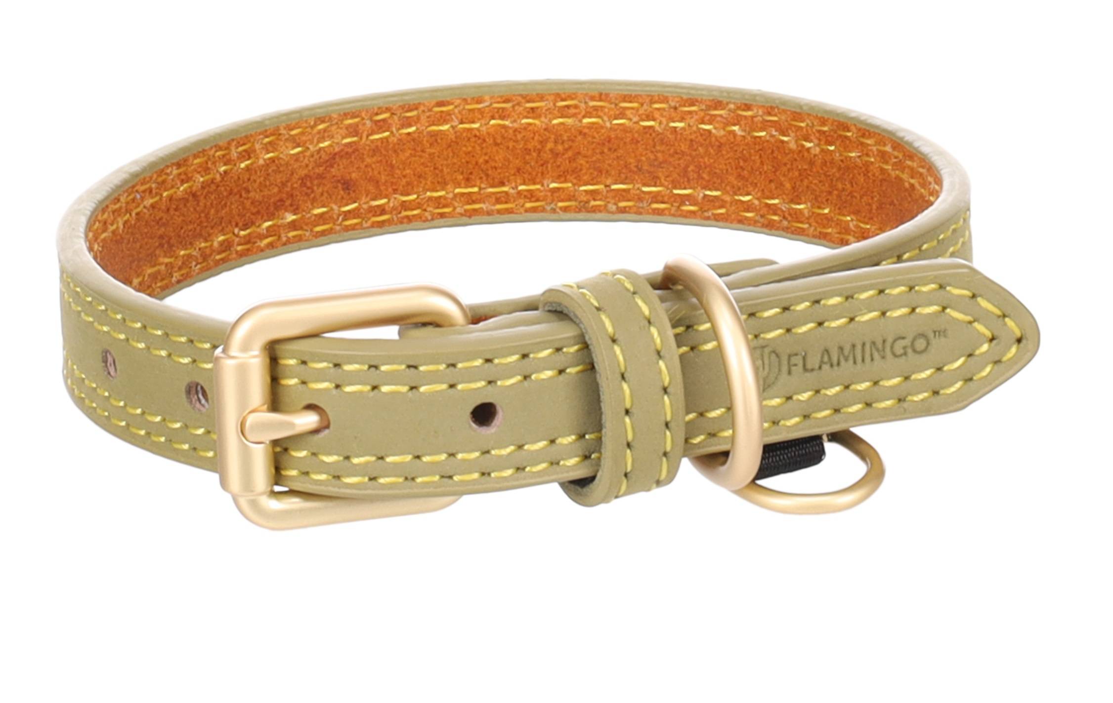 Eden - Collier pour chien Virginia en cuir L 43-53cm 25mm vert - Image 3