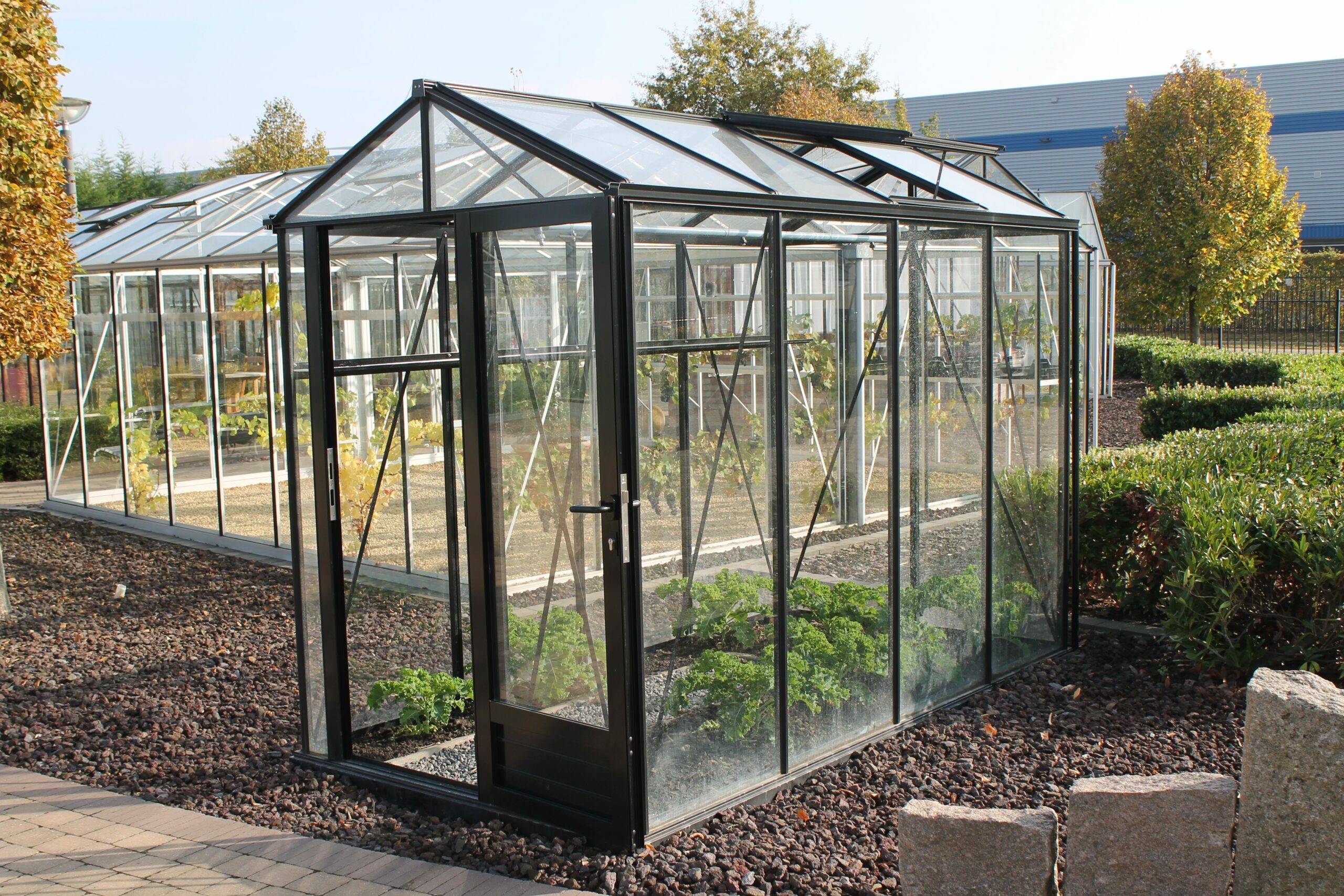 6m²  -  Serre en verre trempé - Euro Micro - laquée - 6m² - vert sapin - L'atelier Des Serres - Imagen 4