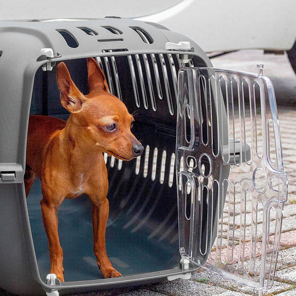 Ferplast - Ferplast Caisse de Transport Chat, Cage de Transport pour Chiens Petits et Chats jusqu'à 8 Kg, Porte Transparente Antichoc, Fentes d'aération, 37 x 57 - Imagen 3