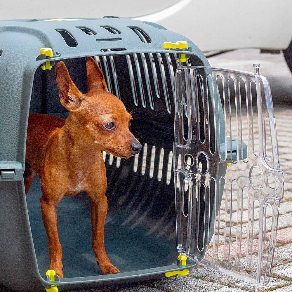Ferplast - Ferplast Caisse de Transport Chat, Cage de Transport pour Chiens Petits et Chats jusqu'à 8 Kg, Porte Transparente Antichoc, Fentes d'aération, 37 x 57 - Imagen 4