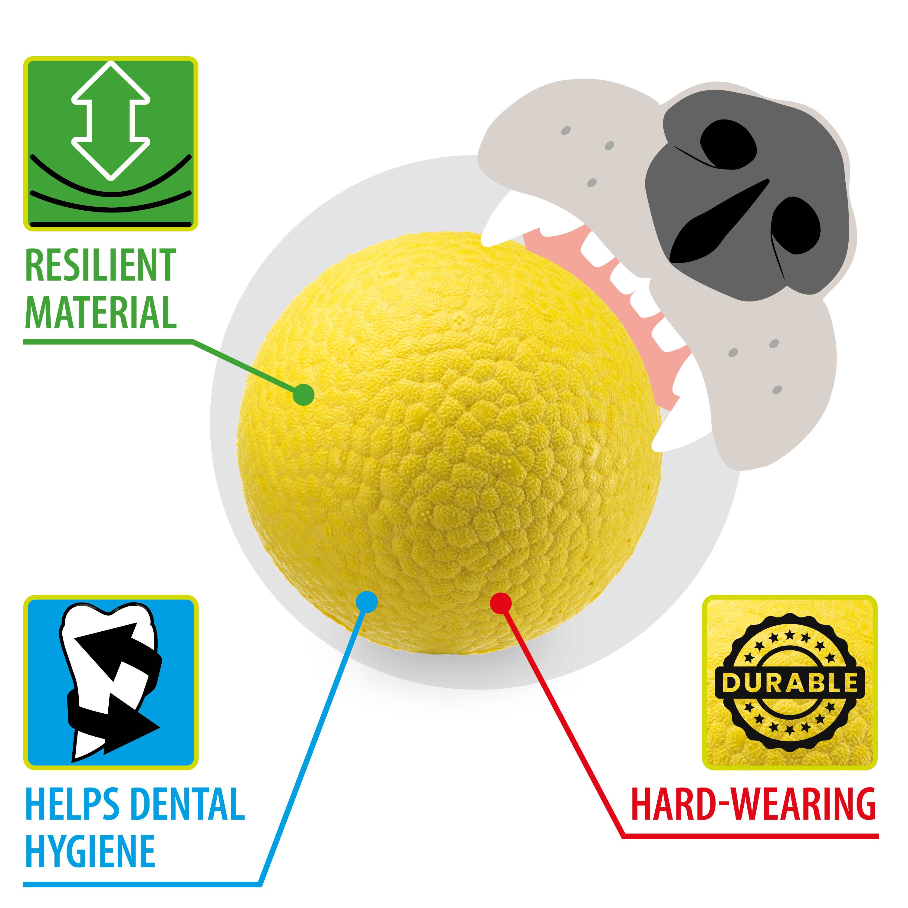 Ferplast - Ferplast Jouet Chien, Balle pour Chien, en Matériau Durable, Non Toxique, Résistante aux Morsures, pour l'Hygiene Dentaire, Rebondissant et Flottant, - Imagen 4