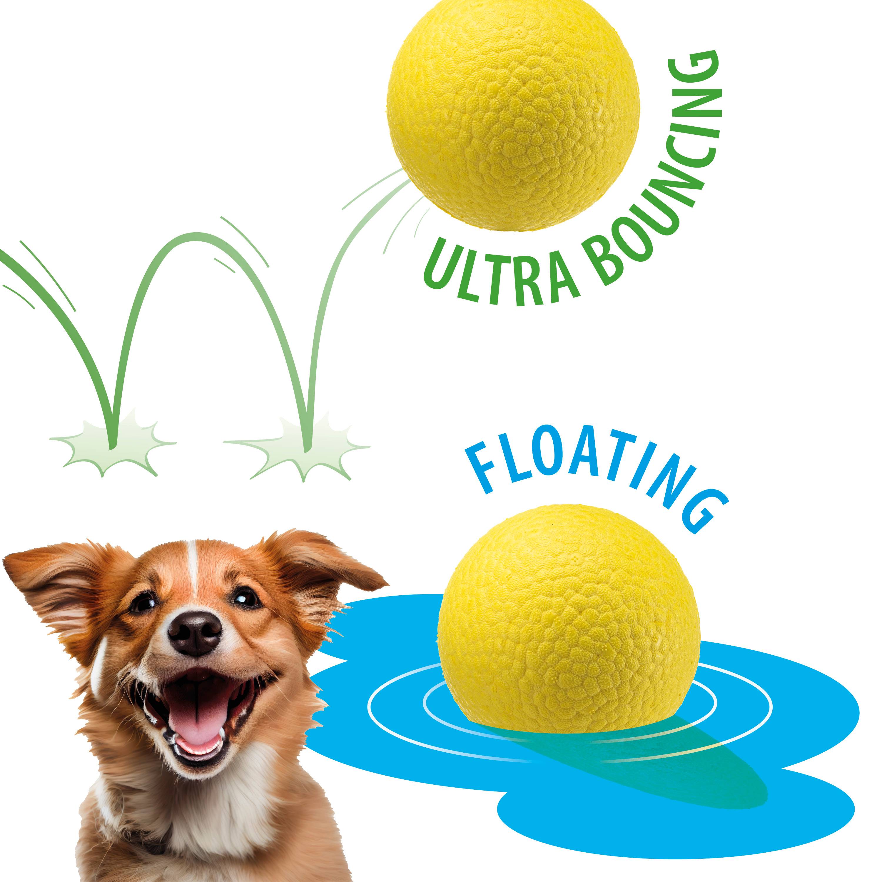 Ferplast - Ferplast Jouet Chien, Balle pour Chien, en Matériau Durable, Non Toxique, Résistante aux Morsures, pour l'Hygiene Dentaire, Rebondissant et Flottant, - Imagen 3