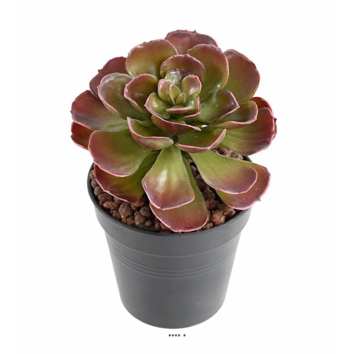Artificielles - Magnifique Crassula artificiel H 22 cm Vert-rouge en piquet - Imagen 1