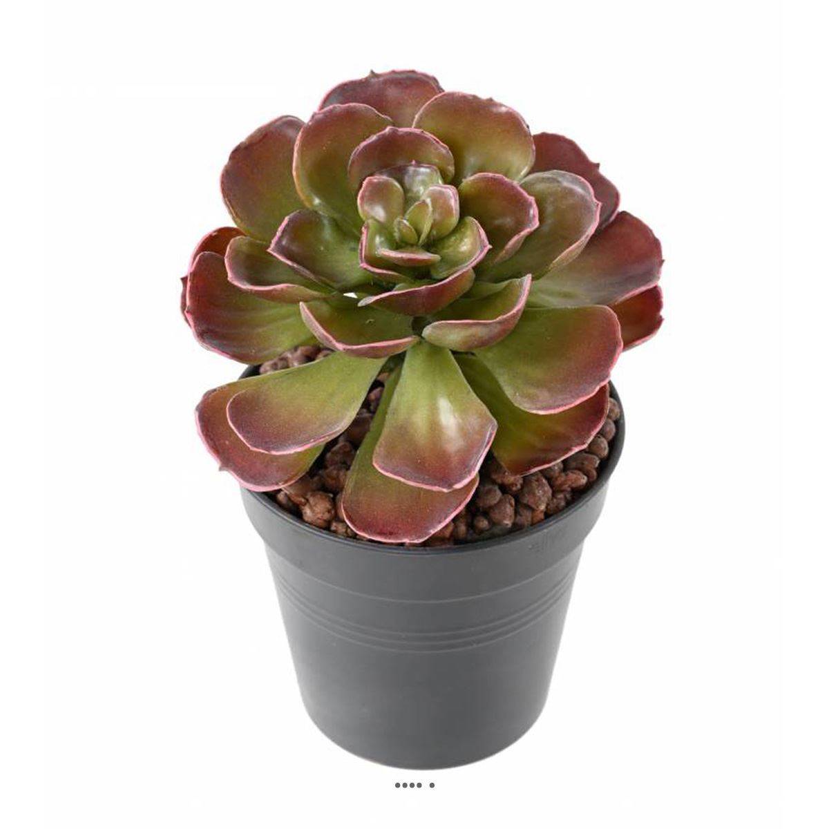 Artificielles - Magnifique Crassula artificiel H 22 cm Vert-rouge en piquet - Imagen 2
