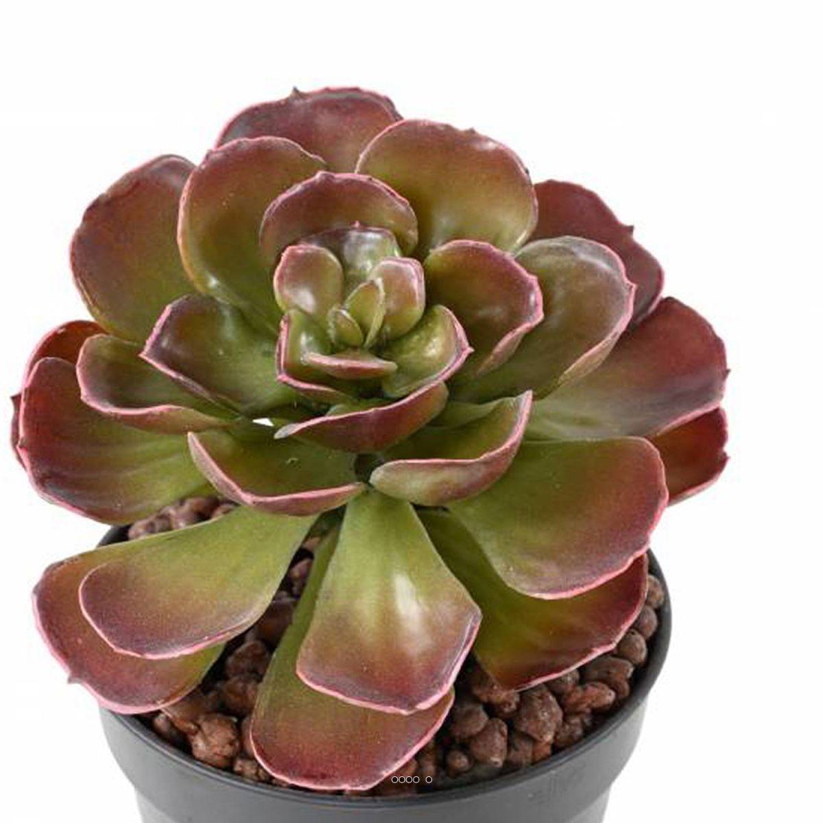 Artificielles - Magnifique Crassula artificiel H 22 cm Vert-rouge en piquet - Imagen 3