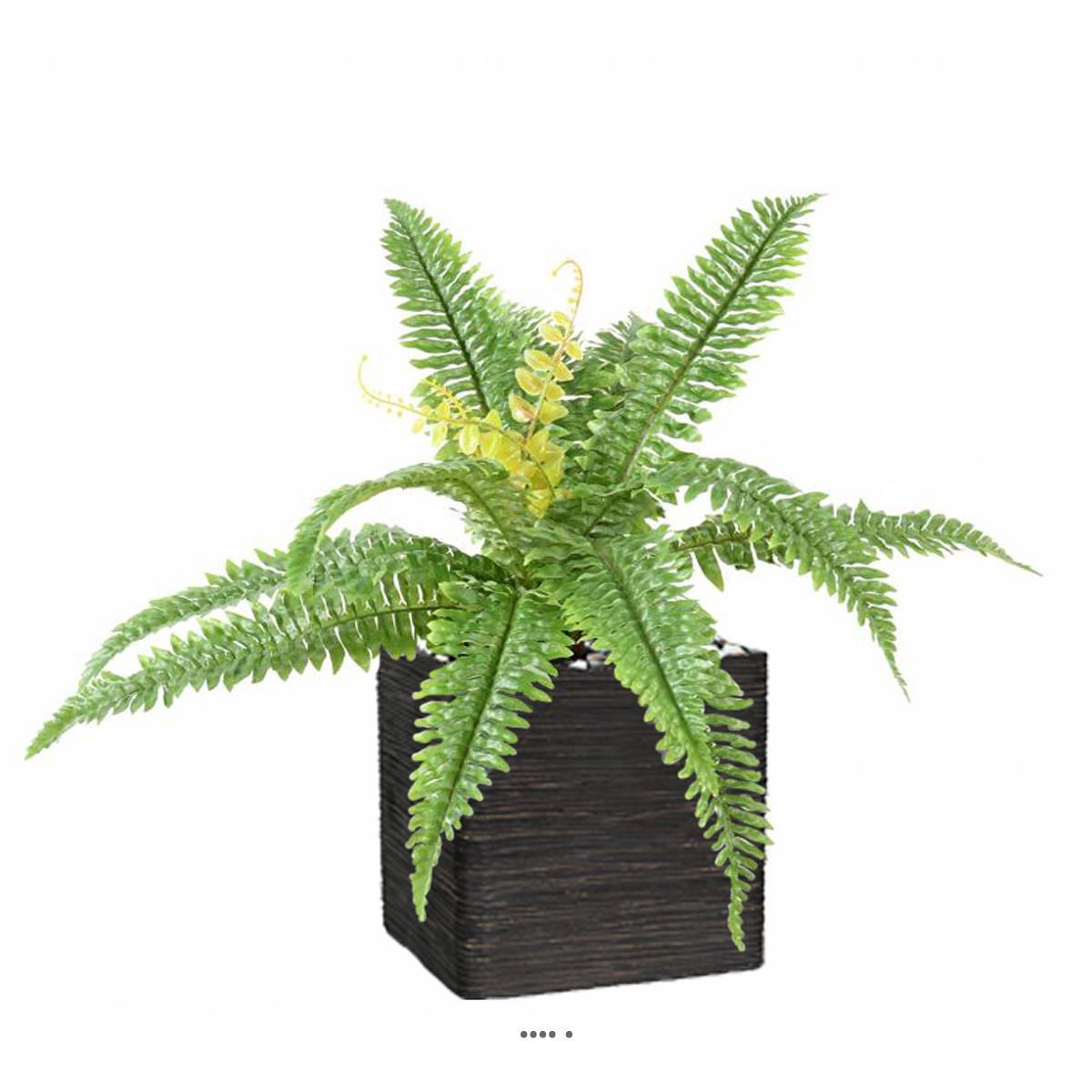 Artificielles - Fougère des forêts 45cm factice 15 feuilles en piquet - Imagen 3