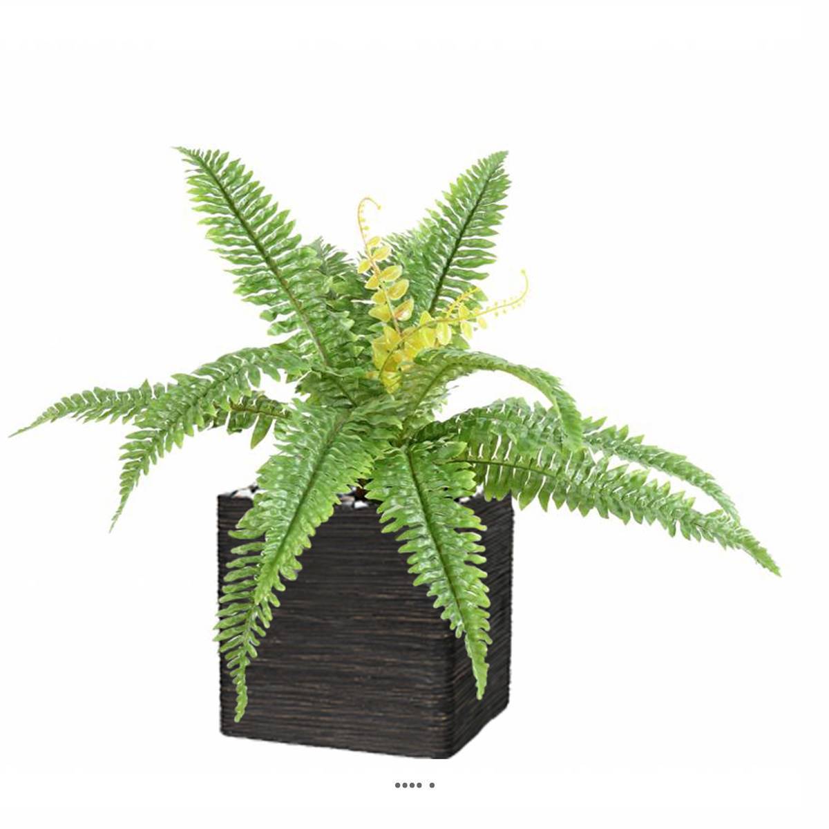 Artificielles - Fougère des forêts 45cm factice 15 feuilles en piquet - Imagen 1