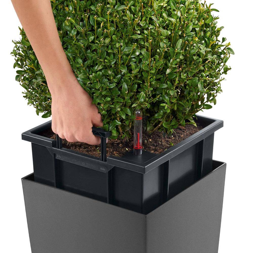 Lechuza - Cubico Premium 30 - kit complet, anthracite métallisé 56 cm Lechuza - Imagen 3