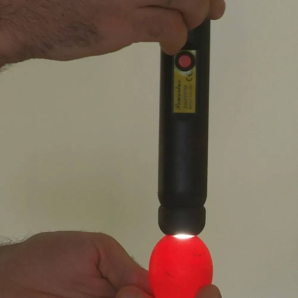 Autre - Mire-oeufs Powerlux - Image 2