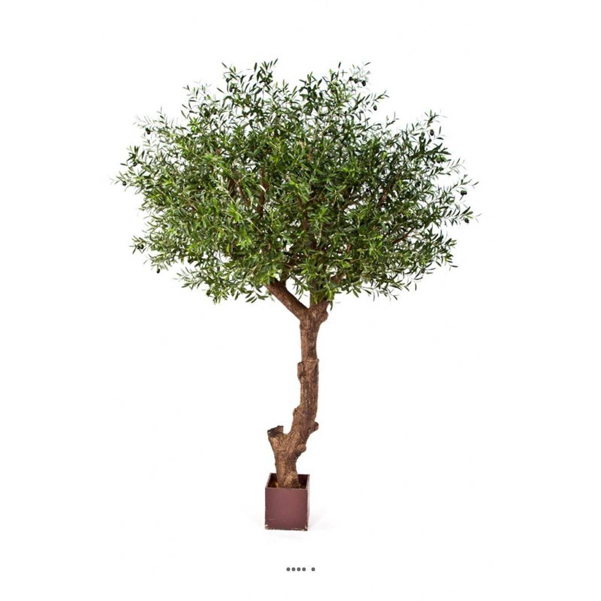 Artificielles - Superbe olivier majestueux artificiel en pot H 270 cm