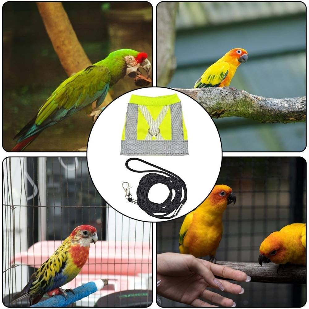 Harnais pour oiseaux DtopbuyAge - Image 4