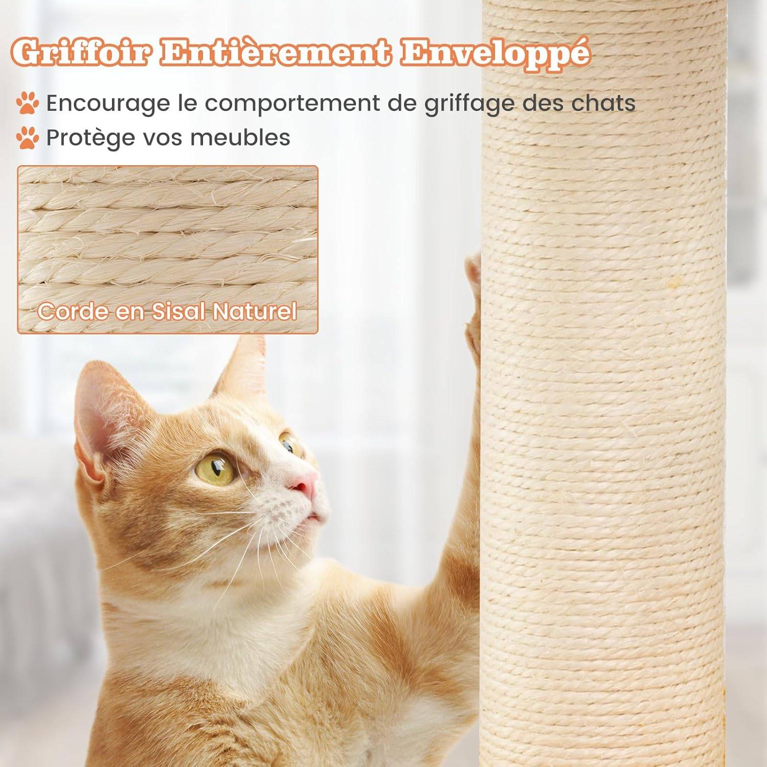 COSTWAY Arbre a Chat Design 76 cm, Petit Arbre a Chat à Thème de Aviation, 2 Griffoirs pour Chat, Échelle d'escalade 58,5 × 48,5 × 76 cm - Image 5